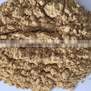 High Quality Ginger Extract Ginger Powder With Low Price thumbnail-1