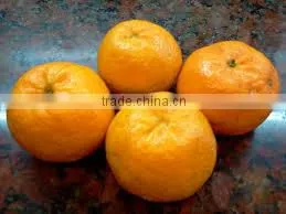 Folomont Mandarin thumbnail-4