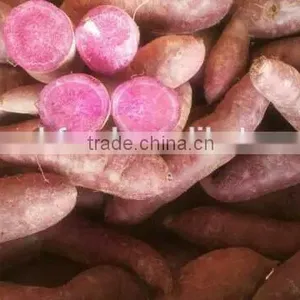 All Kinds of Sweet Potato thumbnail-2