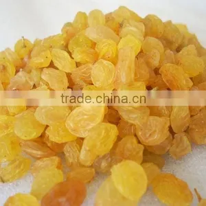 INDIAN EXPORTER YELLOW RAISIN thumbnail-3