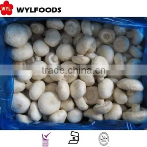 Frozen Champignons Mushrooms for Sale thumbnail-4