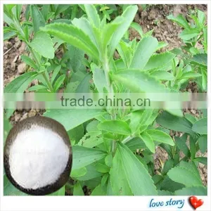 Stevioside Pure Powder 95% thumbnail-4
