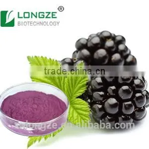 Nice Nutritonal Herbal Extract Anti-oxidant Blackberry Extract Powder With Anthocyanidins 25% ,Anthocyanins 1-25% thumbnail-1