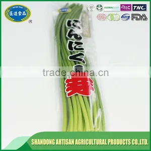 Fresh Garlic Sprouts thumbnail-3