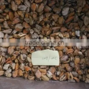 Frozen Mussel Boiled Meat Seafood Price From Seafood Company thumbnail-2