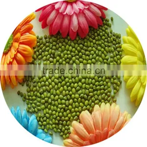 JSX in Vigna Beans Myanmar Pulses Dalian High Quality Export Green Beans thumbnail-2