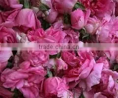 Pure & Natural Rose Oil / INDIA'S NO. 1 EXPORTER'S / MANUFACTURER / SUPPLIERS thumbnail-6