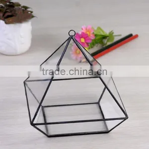 Yiwu Direct Wholesale,cheap Price Cacti Holder Case & Glass Terrarium Diamond thumbnail-5