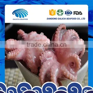 Frozen Baby Octopus in Flower Ball Shape With Export Grade thumbnail-1