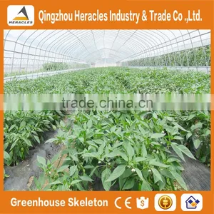 Heracles Low Cost Mini Greenhouse thumbnail-4