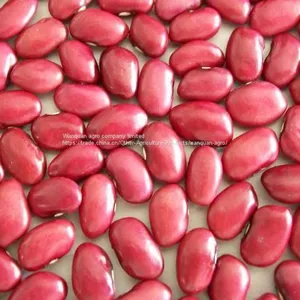 Dark Red Kidney Bean thumbnail-1