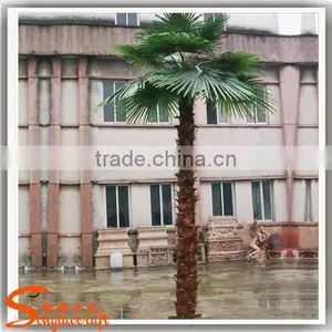 Latest Design 12ft Outdoor Decorative Palm Trees Artificial Outdoor Palm Trees for Sale thumbnail-4