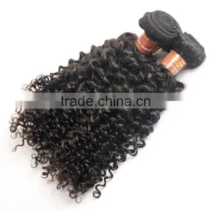 Unprocessed Kinky Curly Virgin Malaysian Hair Wholesale Malaysian Human Hair Weaves Curly Extension thumbnail-6