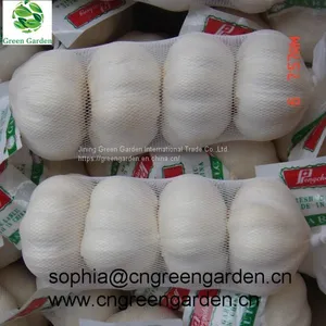 Chinese Fresh Garlic Normal White Garlic Pure White Garlic Dry Garlic thumbnail-2