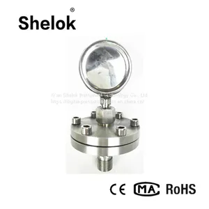 Air Oil Water Mpa Diaphragm Seal Bourdon Tube 300 Bar Pressure Gauge thumbnail-5