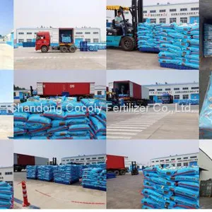 Cocoly Granular Water-soluble Fertilizer China Manufacturer thumbnail-3