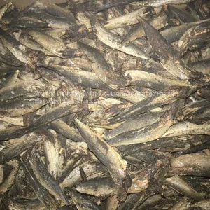 DRIED SMOKE FISH thumbnail-1