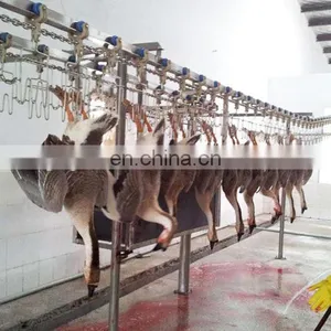 Slaughterhouse Hooks Chicken Defeather Machine Chicken Feather Cleaning Machine thumbnail-7
