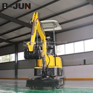 Cheap Price Hot Sale 1000kg Small Excavator for Sale thumbnail-1