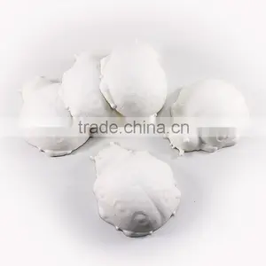 3D Animal Paper Mache Pack of 5 - Ladybird thumbnail-1