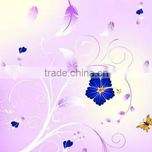 3/3.5/4/5/5.5mm CE & ISO Accredited 3mm 5mm Pattern Glass thumbnail-1