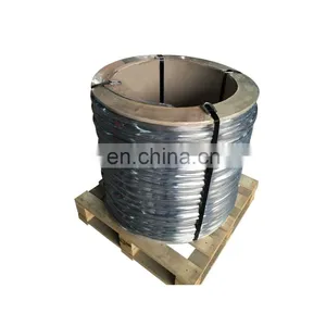 Aisi302 Piano Wire Stainless Steel SS Steel Wire Spring Paslanmaz Celik Tel thumbnail-2