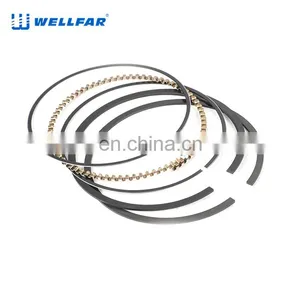 2M4862 Wellfar GMC Vortec 4300 Engine Piston Rings For Chevrolet Suburban Savana Sonomasilverado 1500,2500 Car Engines thumbnail-1