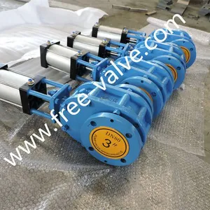 Pneumatic Ceramic Balance Gate Valve DSCN1507