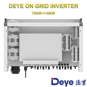 Deye 100KW thumbnail-2