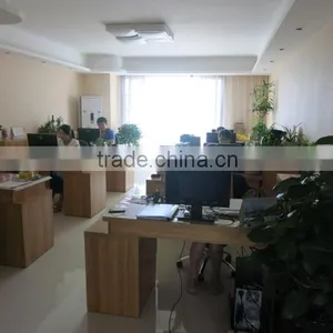 Shaanxi Longstar New Material Technology Co., Ltd. company overview - view 3 thumbnail