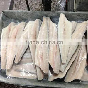 Bone off Frozen Spanish Mackerel Fillet and Scomberomorus Niphonius thumbnail-1