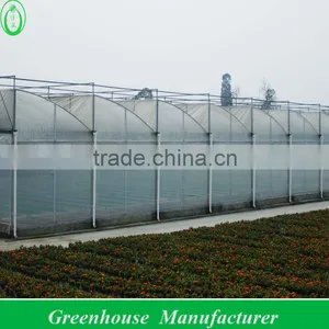Cut Flower Greenhouse For Middle East thumbnail-1