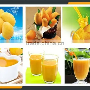 Leader Excellent Performance Mango Peeling and Pulping Machine for Juice thumbnail-6