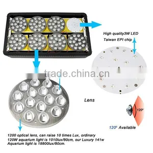 Cheap New Arrival 1w 3w 5w Led Grow Light thumbnail-3