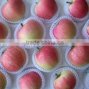 Plastic Machine EPE Foam Net Production Line thumbnail-6