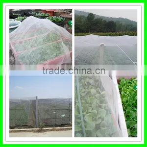 Ultra Fine Insect Netting Garden Crop Veg Protection thumbnail-4