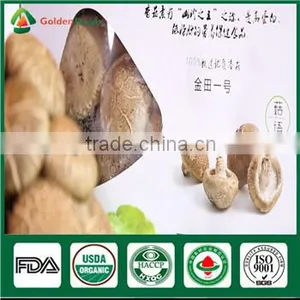 Mushrooms Product Type and Shiitake Mushroom Growing Seed Spawn Log thumbnail-2