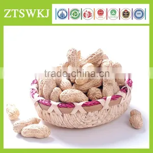 Organic Big Peanut Seed for Increase Corp Yield thumbnail-1