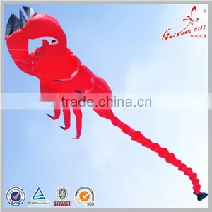 Large Show Kites thumbnail-1