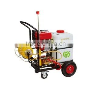 Gas Power Sprayer thumbnail-1