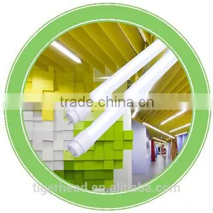 LED T8 TUBE thumbnail-1