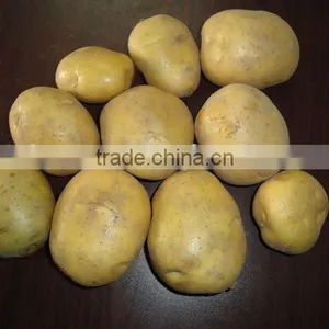 FRESH POTATO thumbnail-1