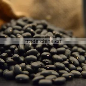 Hot Sale Black Bean thumbnail-1