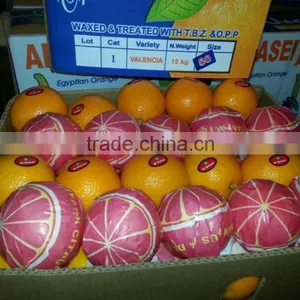 Forwell Oranges thumbnail-4