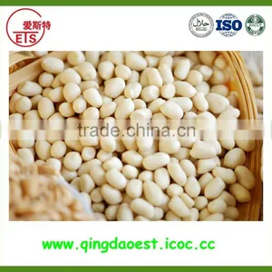 High Quality Blanched Peanut Kernel in Good Taste and Flavor thumbnail-6