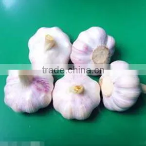Pack in Mesh Bag or Carton Garlic thumbnail-2