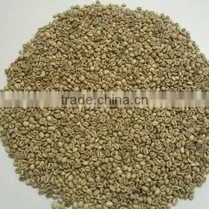 VIETNAM TOP QUALITY - WET POLISHED ROBUSTA COFFEE BEAN thumbnail-2