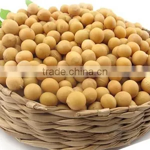 Soybeans Kernel thumbnail-1