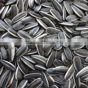 Purity 99.99% Inner Mongolia Sunflower Seeds Price thumbnail-5