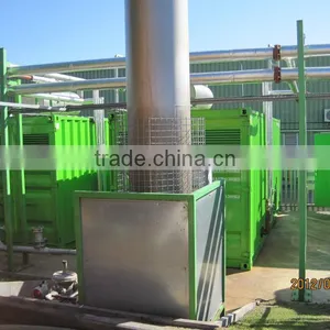 ISO,CE,BV Approvediogas Power Plant	urnkey,BOT Biogas Generation Projectiomass Power Plant thumbnail-1